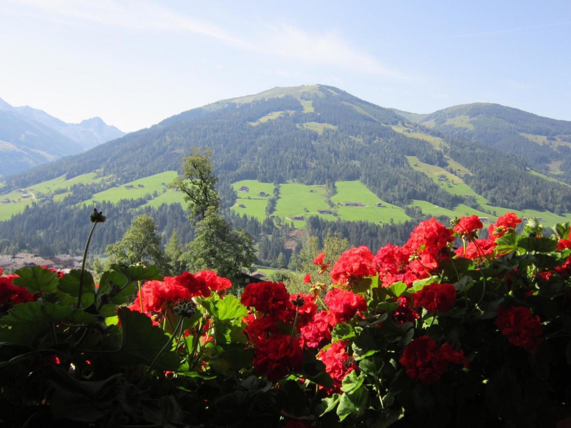 شقة Alpbachblick المظهر الخارجي الصورة