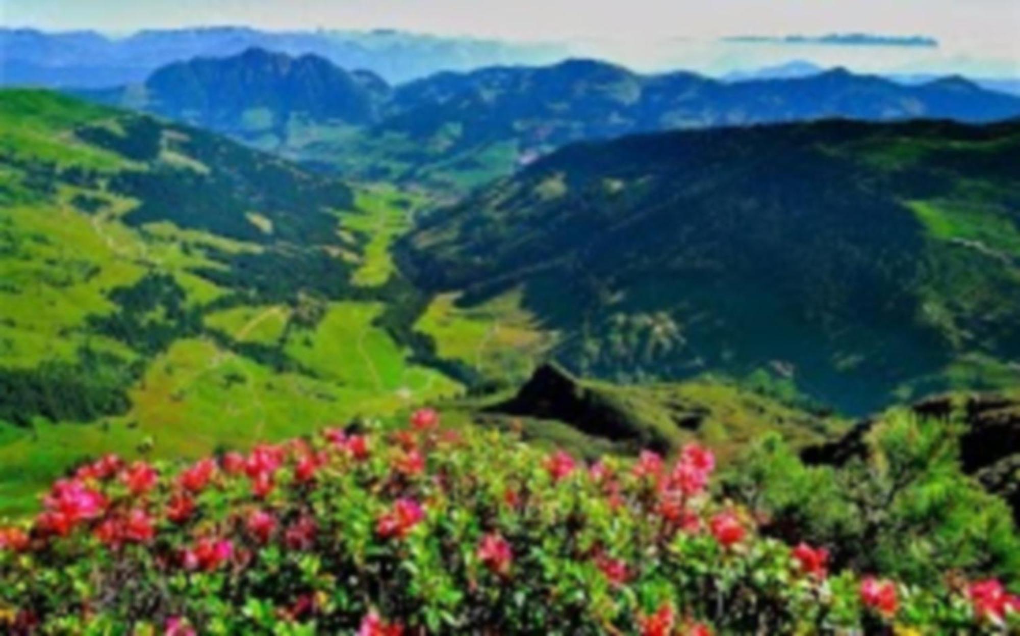 شقة Alpbachblick المظهر الخارجي الصورة